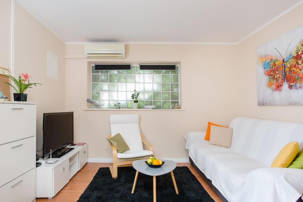 Dream Apartment Solitudo ドゥブロブニク エクステリア 写真