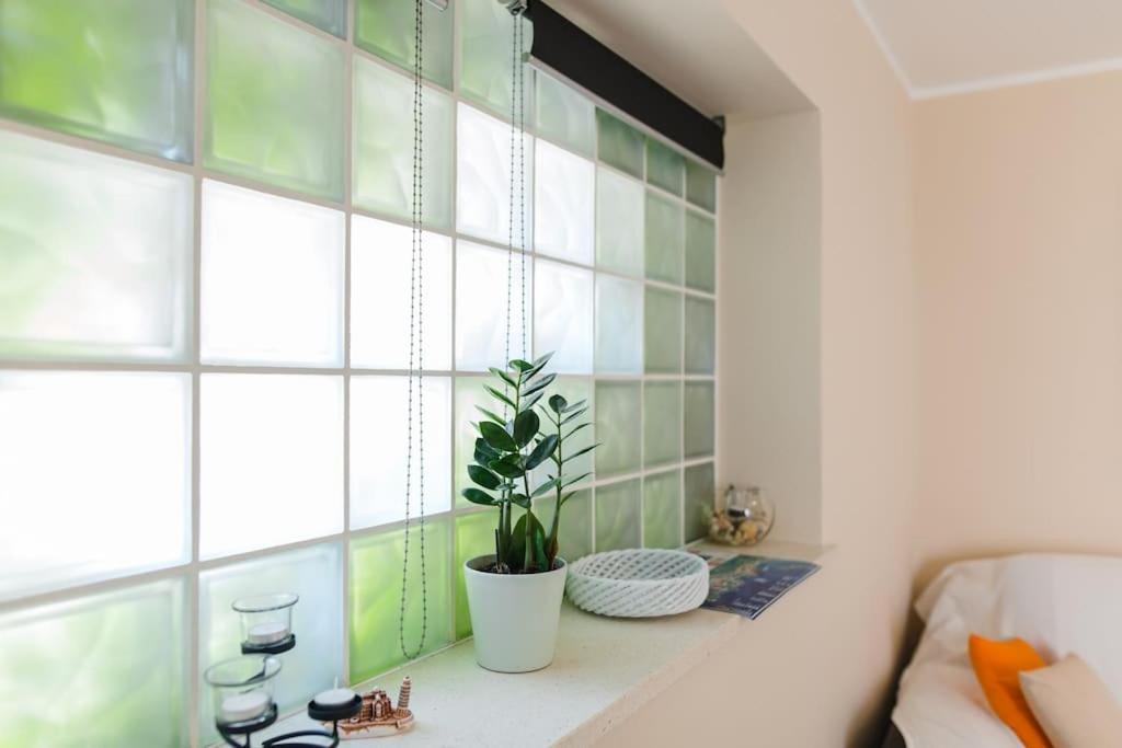 Dream Apartment Solitudo ドゥブロブニク エクステリア 写真